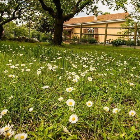 B&B La Farnia Casciana Terme Exterior photo