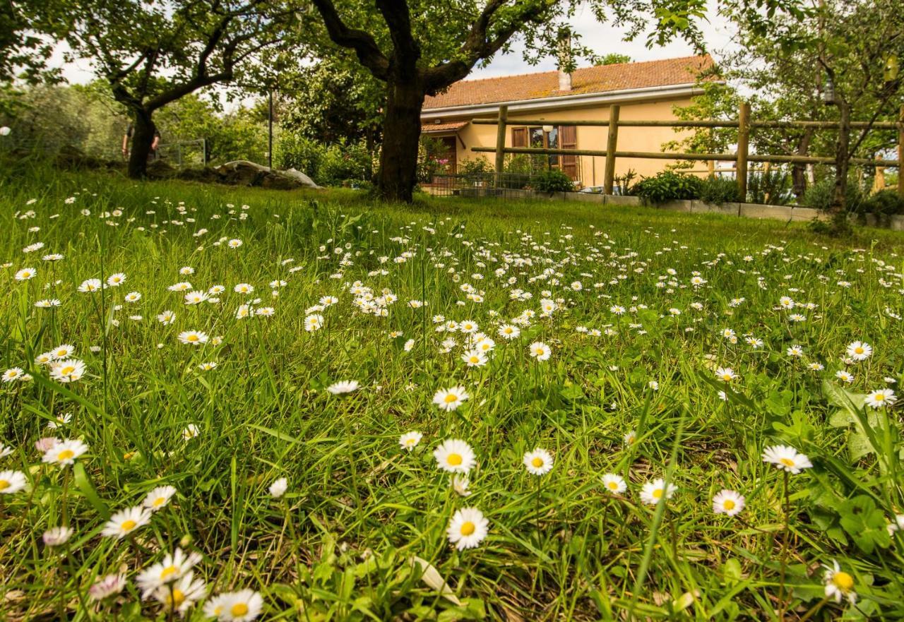 B&B La Farnia Casciana Terme Exterior photo